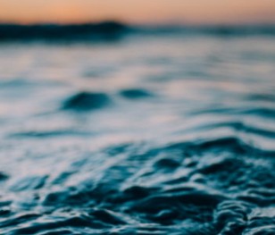 Martwy wieloryb na brzegu. W jego żołądku znaleziono 6 kilogramów plastiku