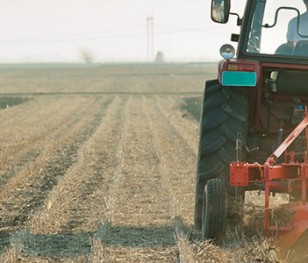 Польські фермери, які постраждали від пандемії, отримають понад мільярд злотих