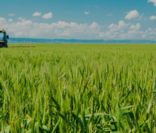 Міністр сільського господарства Польщі задоволений урожаєм