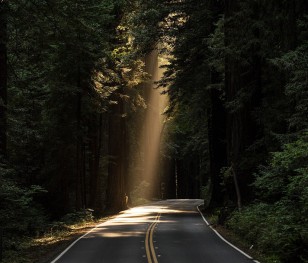 Водами з доріг рятуватимуть від посух польські ліси