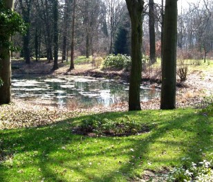 У познанському дендропарку з’явиться парк ілюмінацій
