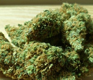 72-latek wstydził się niskiej emerytury, więc handlował narkotykami