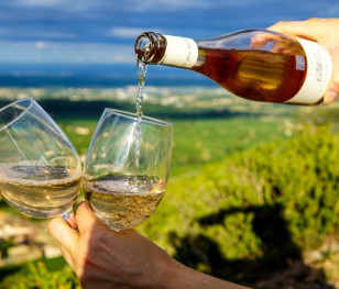 Ринок вина в Польщі швидко розвивається