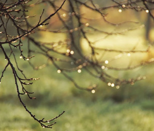 Wiosna puka do drzwi. Prognoza wskazuje, kiedy ma nastąpić przełom