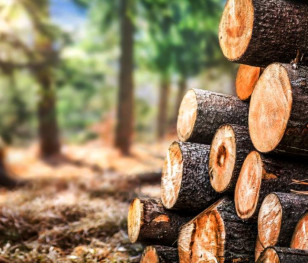 Codziennie Europa traci tereny zielone o wielkości... 600 boisk piłkarskich