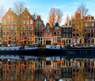 Polacy masowo wracają z emigracji. Teraz padło na Holandię