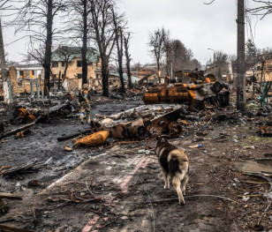 Польща долучилася до збору доказів скоєння росіянами геноциду українців