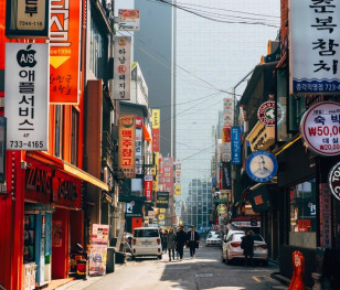 У Південній Кореї заборонили споживання собачого м’яса