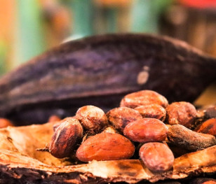 Cena kakao bije rekordy