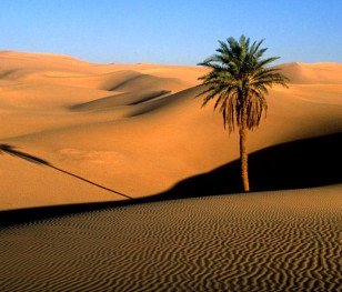To jedno z najcieplejszych miejsc na Ziemi. Na Saharze spadł śnieg