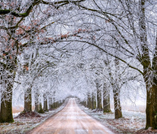 Польські синоптики знову анонсують суттєве зниження температури