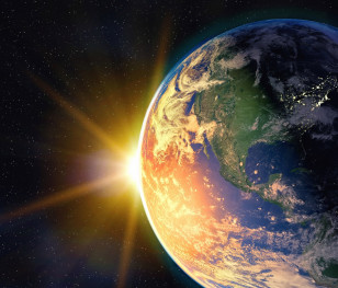 Дослідники природи назвали найважливіші відкриття 2024 року