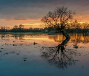 Польський і український національні парки уклали угоду про співпрацю